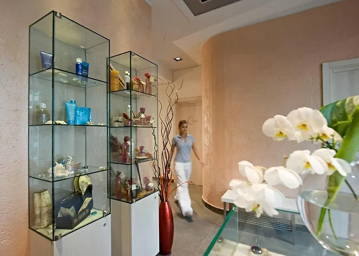 Arli Business And Wellness Hotel